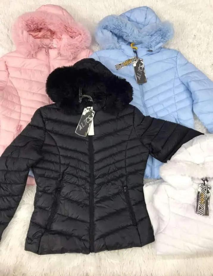 CAMPERA 668